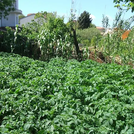 La Casa Dei Fiori D'arancio *